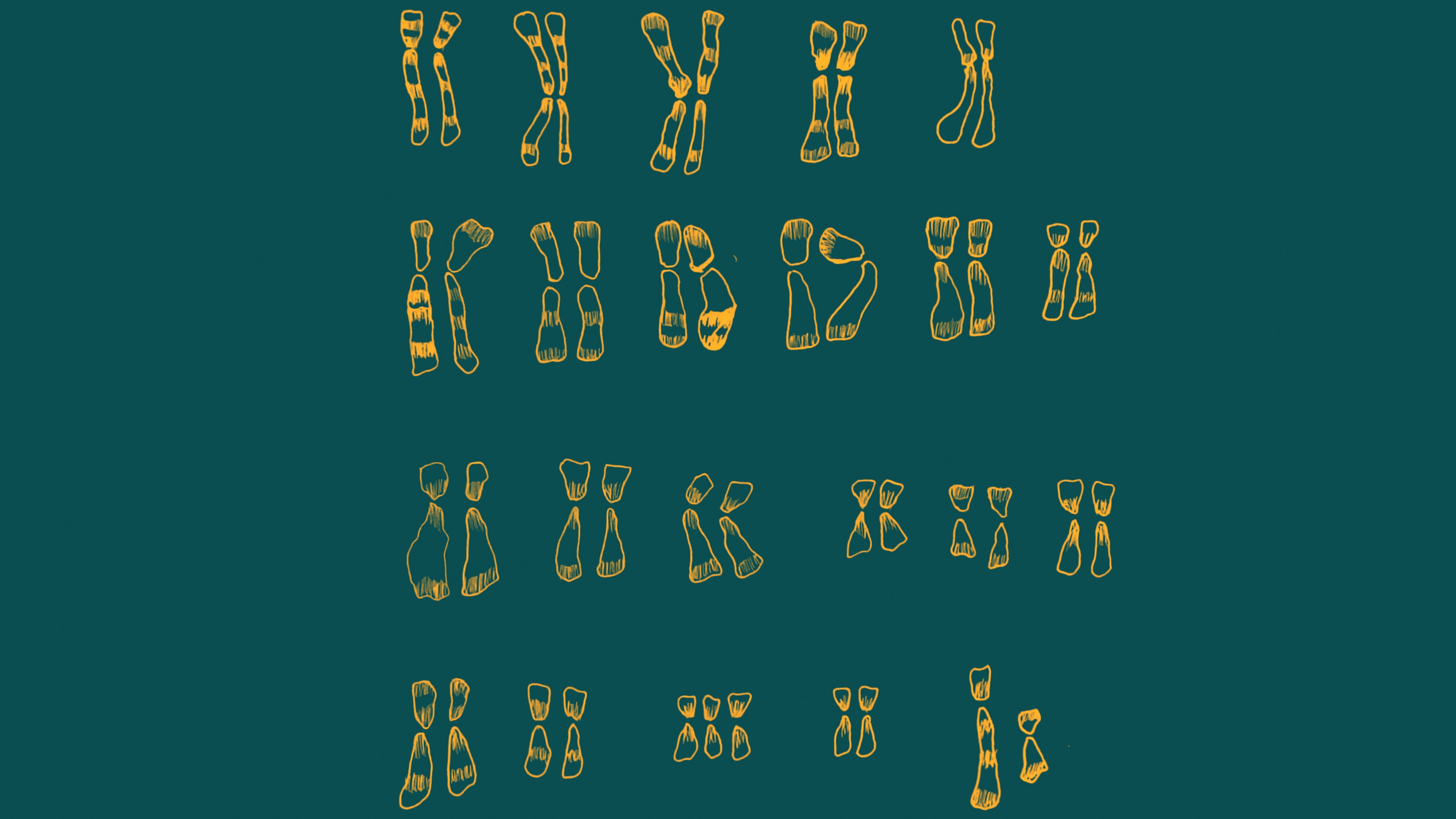 Understanding Down’s Syndrome
